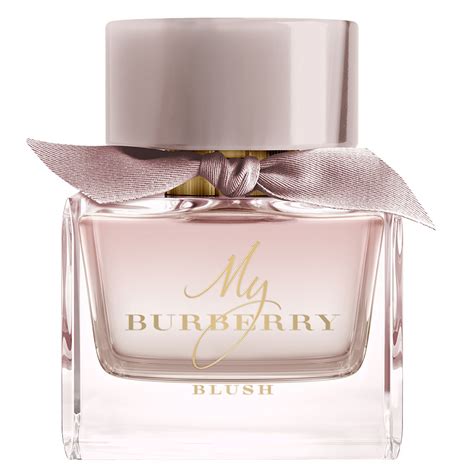 fragrantica my burberry blush|Burberry blush perfume chemist warehouse.